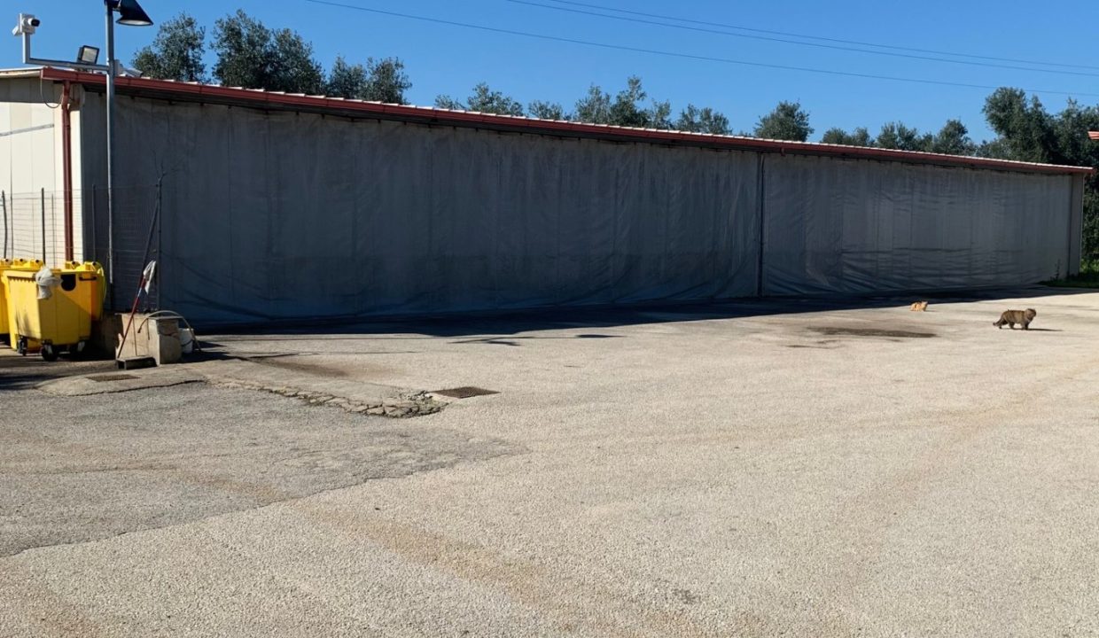 market litoranea capannone esterno 1