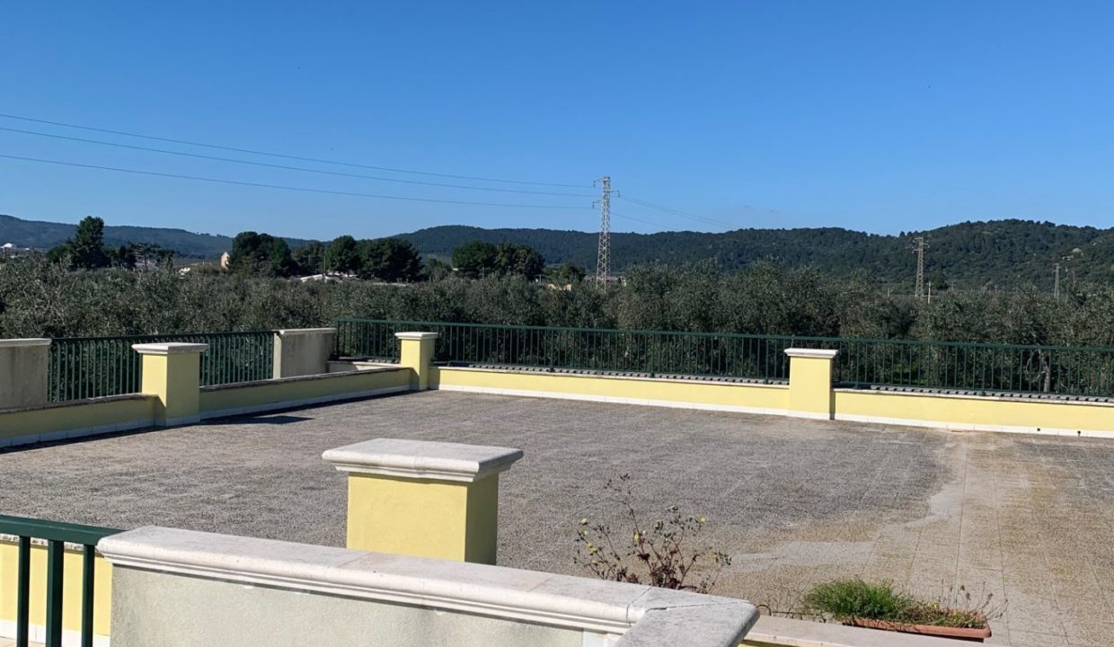 market litoranea lastrico solare