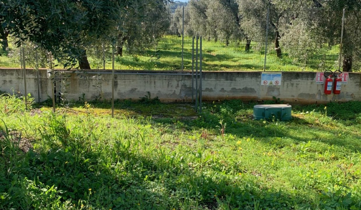 market litoranea terreno