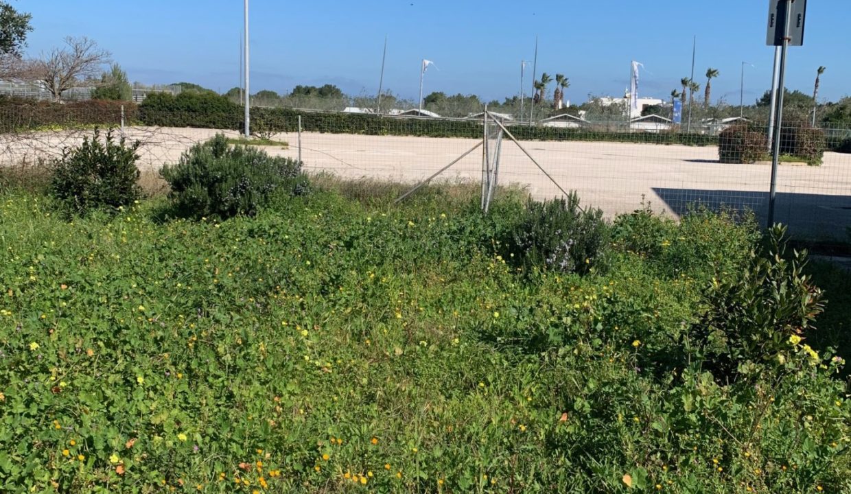 market litoranea terreno 7